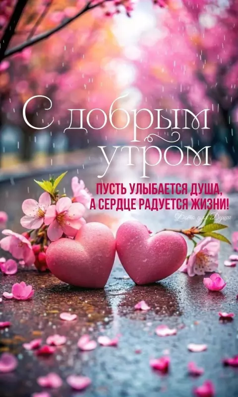 Кафе "У пани Сони"