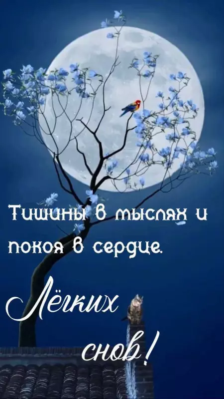 Кафе "У пани Сони"