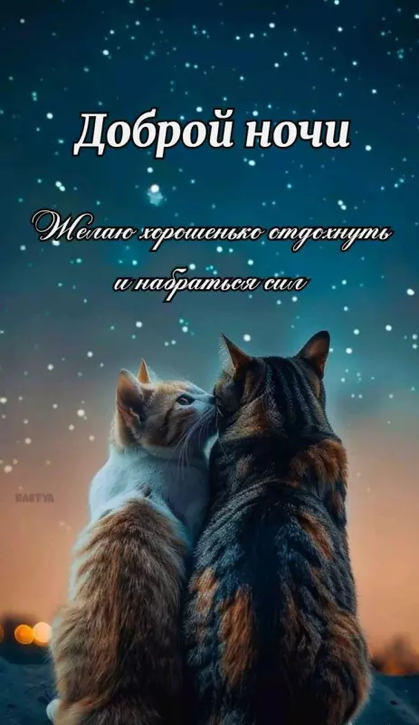Кафе "У пани Сони"