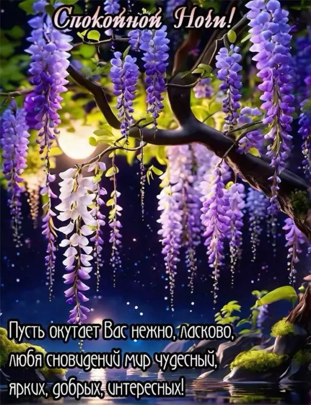 Кафе "У пани Сони"