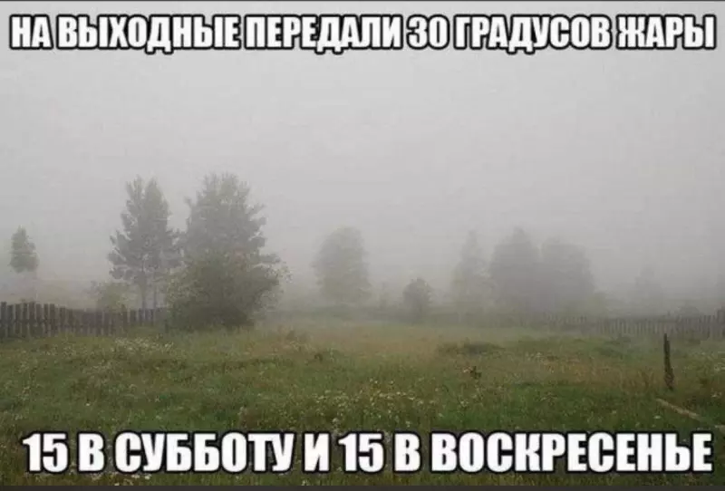 Кафе "У пани Сони"