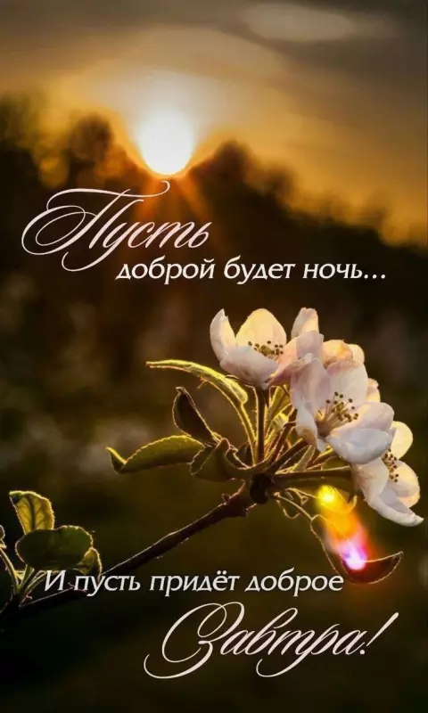 Кафе "У пани Сони"
