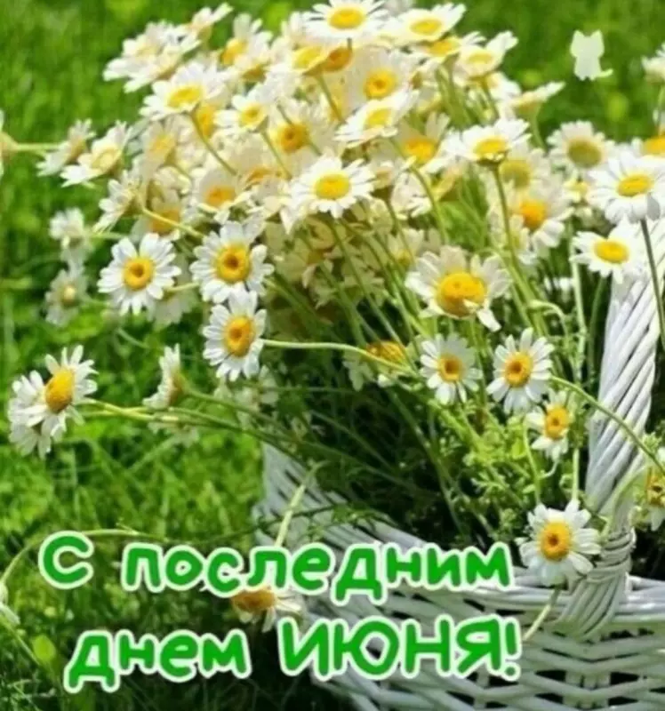 Кафе "У пани Сони"