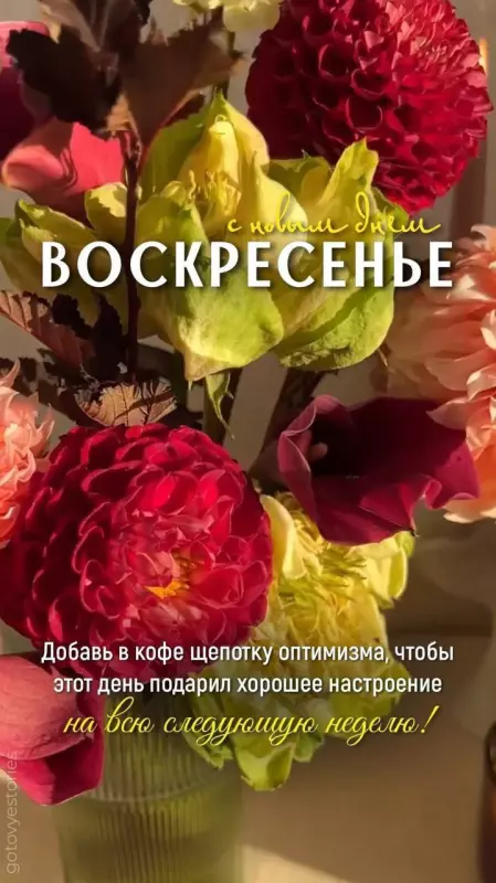 Кафе "У пани Сони"