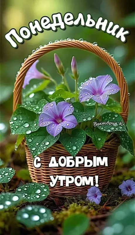 Кафе "У пани Сони"