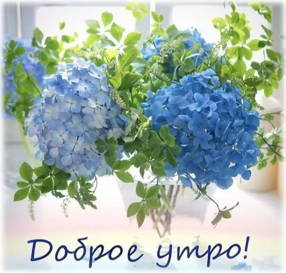 Кафе "У пани Сони"