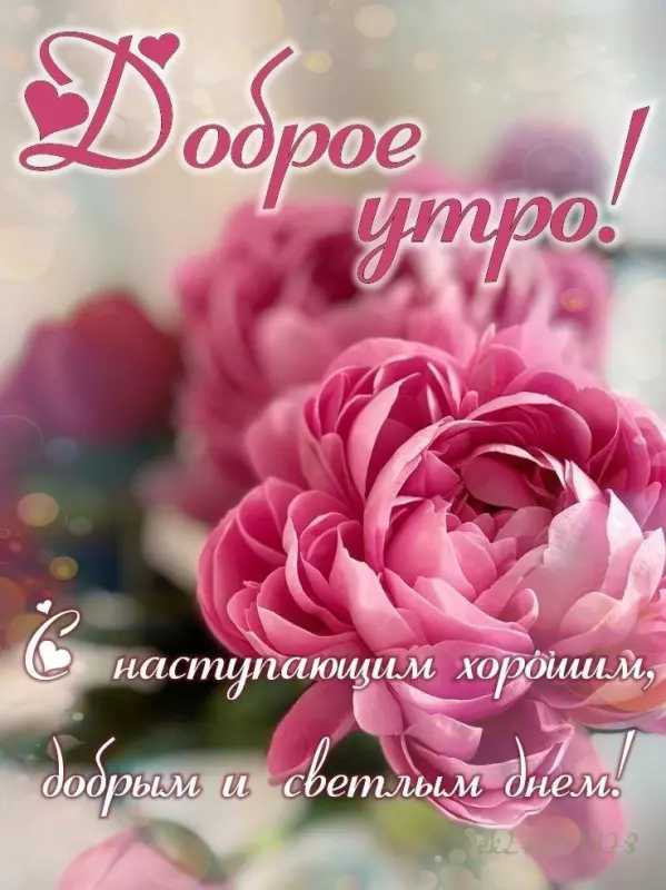 Кафе "У пани Сони"