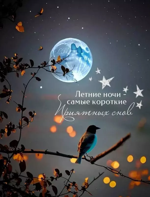 Кафе "У пани Сони"