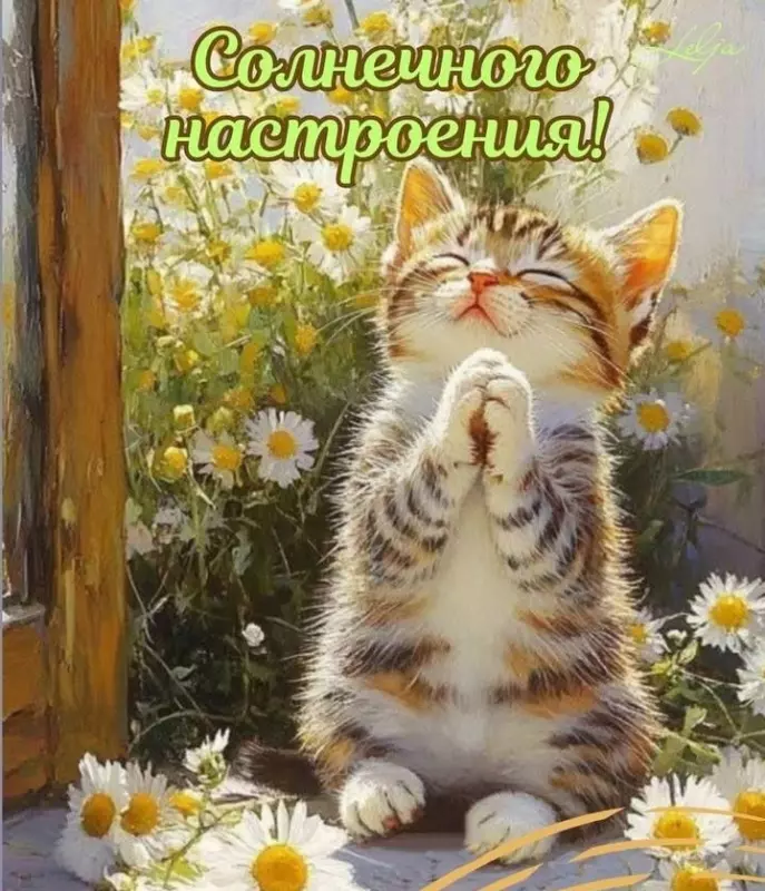 Кафе "У пани Сони"