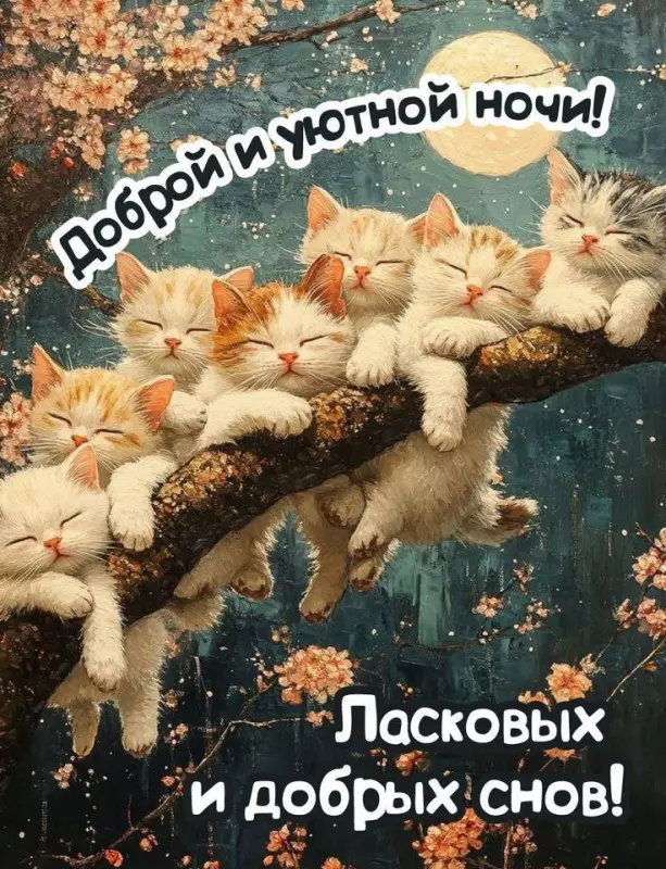 Кафе "У пани Сони"