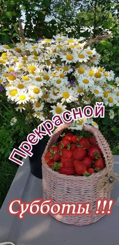 Кафе "У пани Сони"