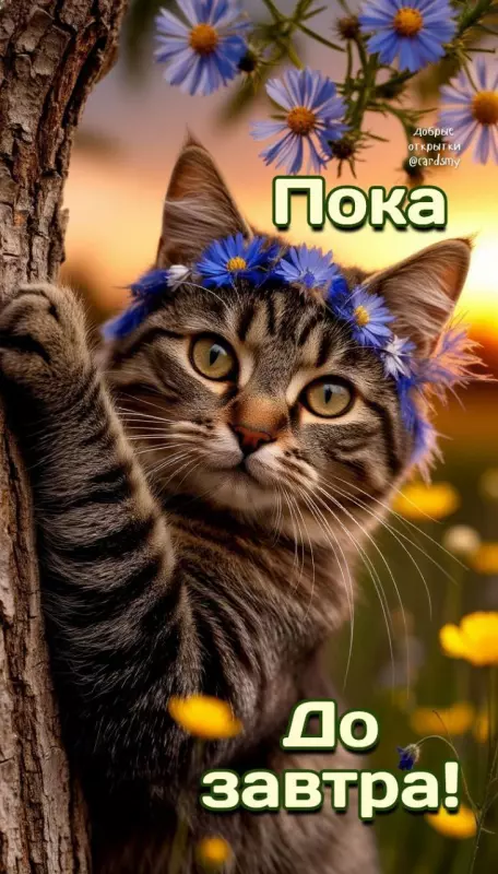 Кафе "У пани Сони"