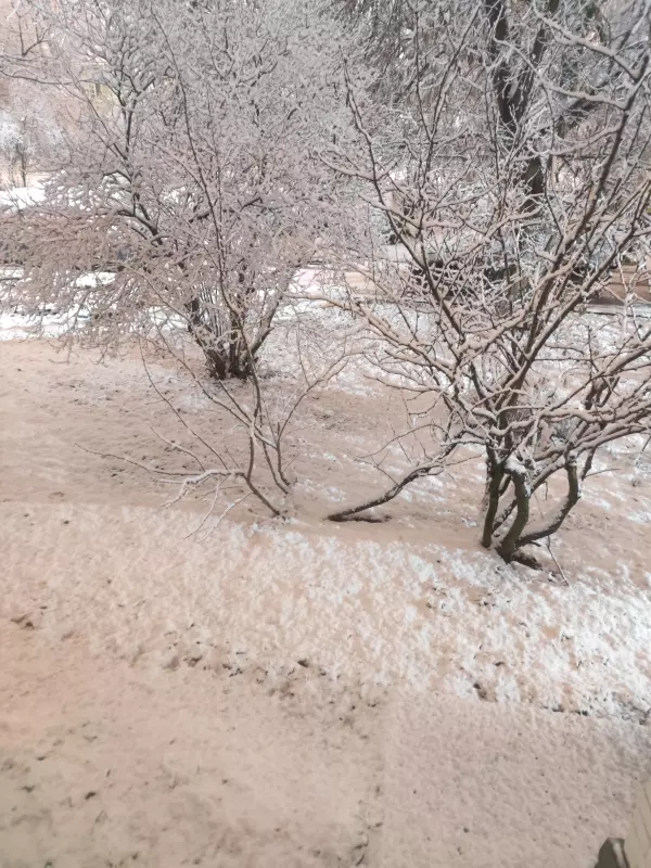 Кафе "У пани Сони"