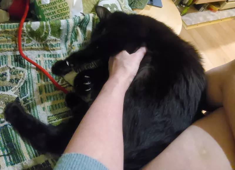 Кафе "У пани Сони"