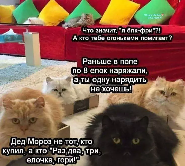 Кафе "У пани Сони"