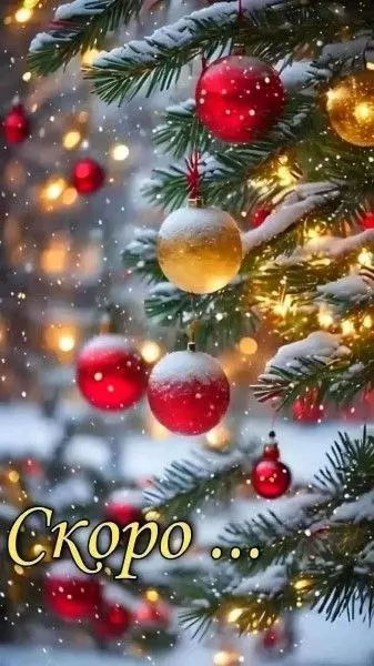 Кафе "У пани Сони"