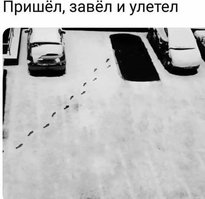 Кафе "У пани Сони"