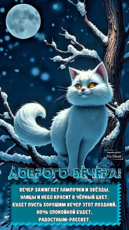 Кафе "У пани Сони"