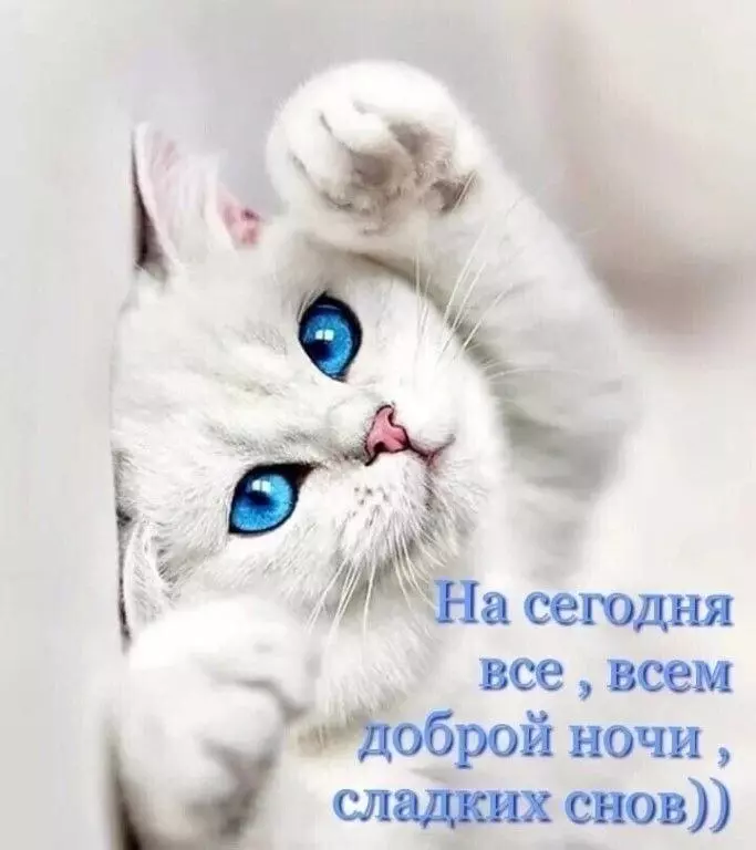Кафе "У пани Сони"