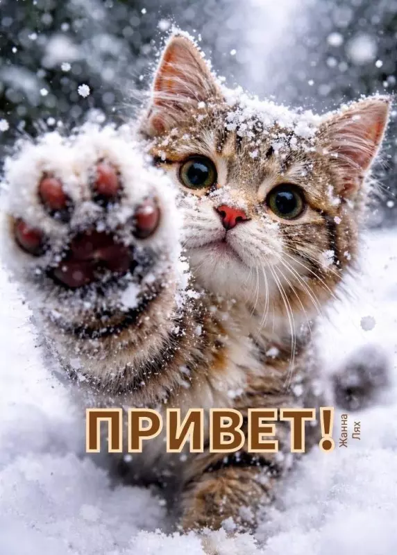 Кафе "У пани Сони"