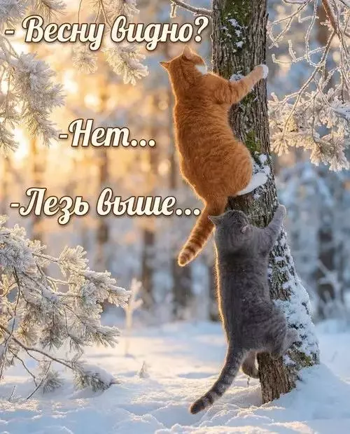 Кафе "У пани Сони"