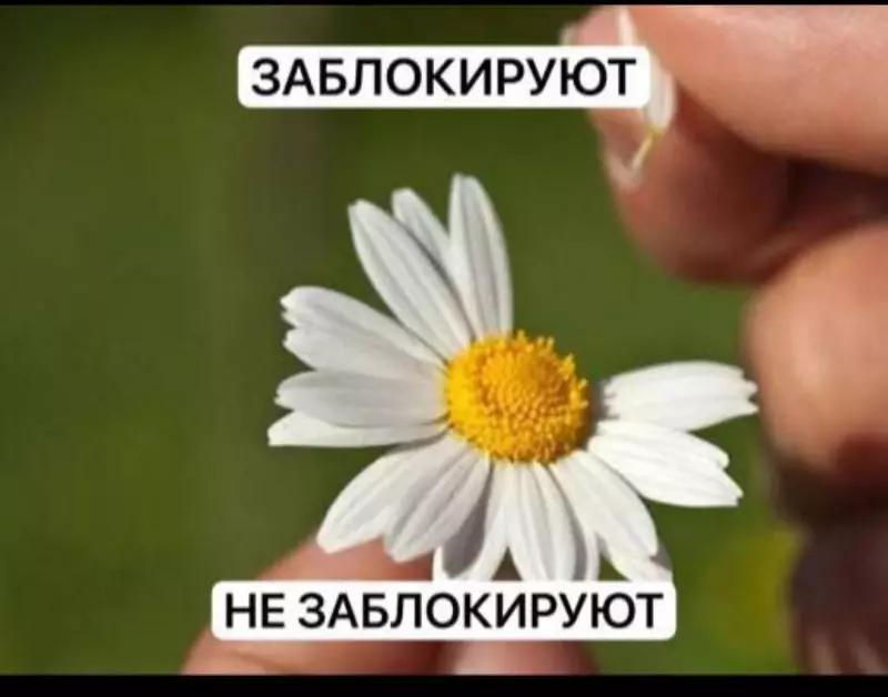 Кафе "У пани Сони"