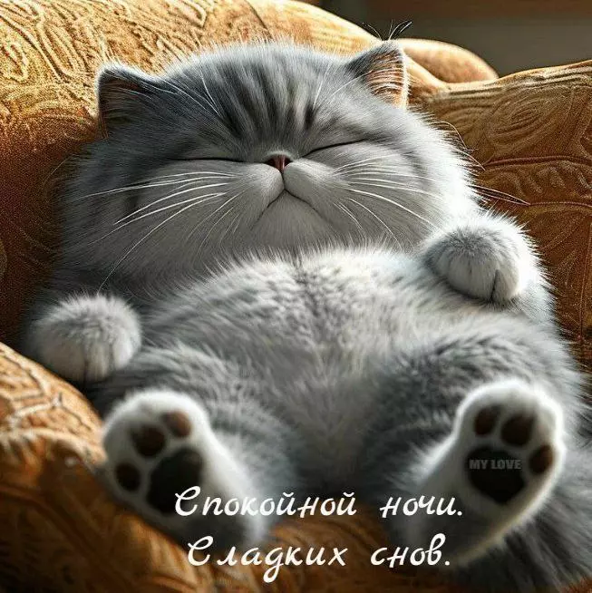 Кафе "У пани Сони"