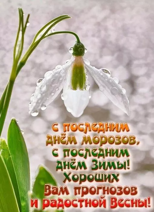 Кафе "У пани Сони"