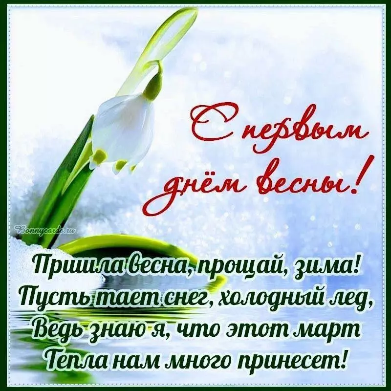 Кафе "У пани Сони"