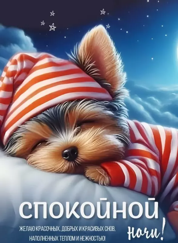 Кафе "У пани Сони"