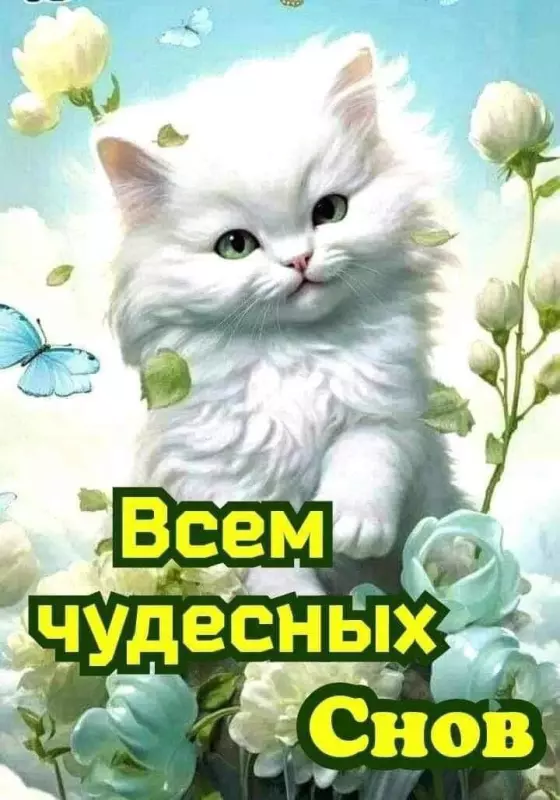 Кафе "У пани Сони"