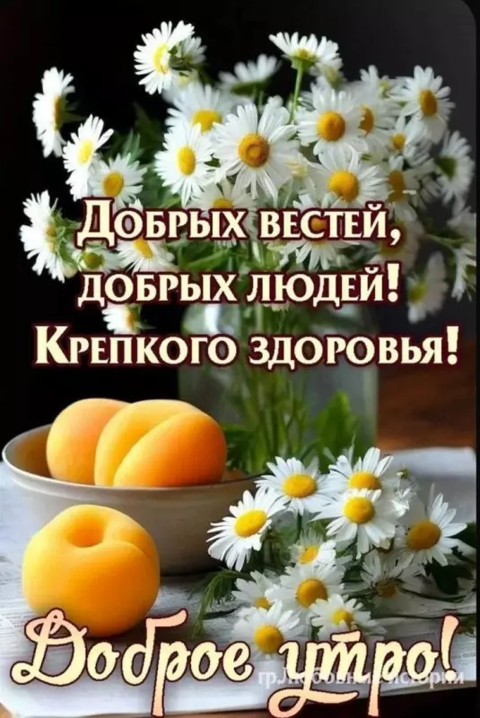 Кафе "У пани Сони"