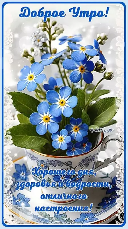 Кафе "У пани Сони"