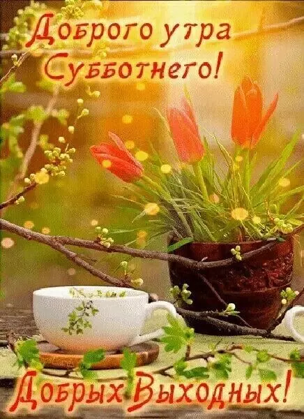 Кафе "У пани Сони"