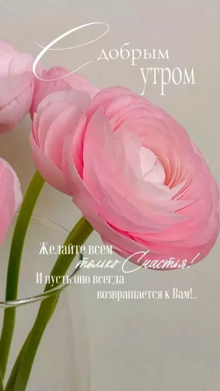 Кафе "У пани Сони"