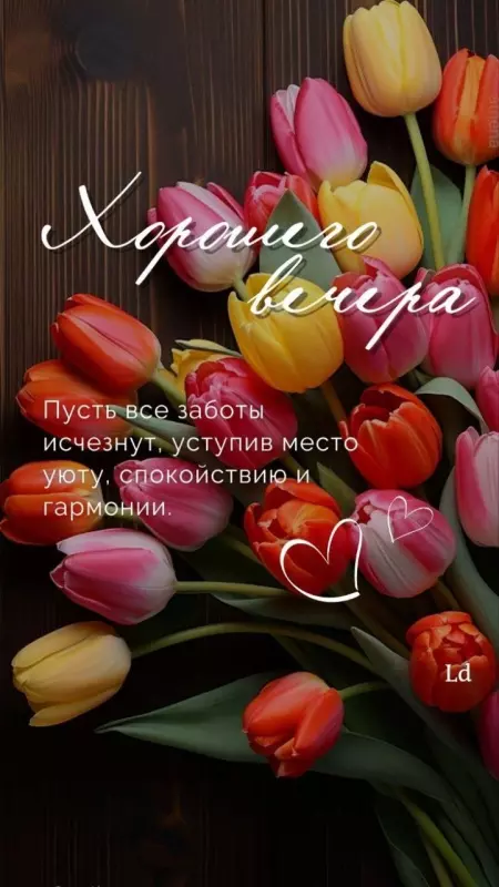 Кафе "У пани Сони"