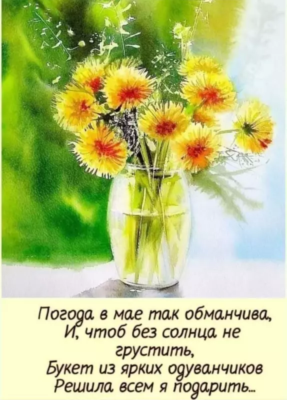 Кафе "У пани Сони"