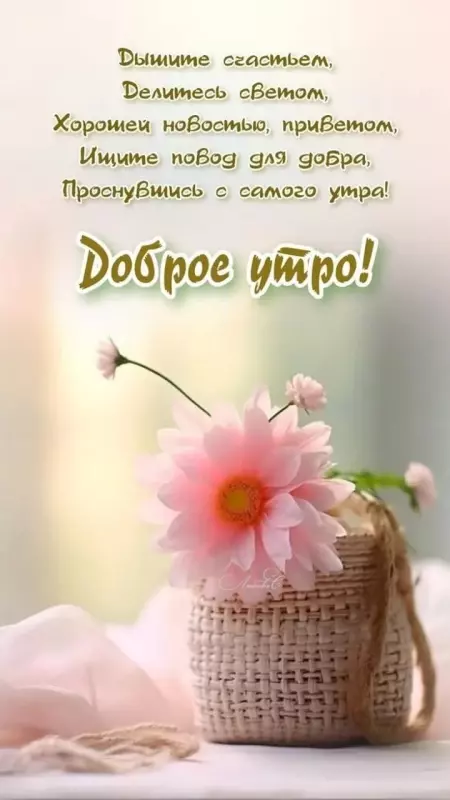 Кафе "У пани Сони"