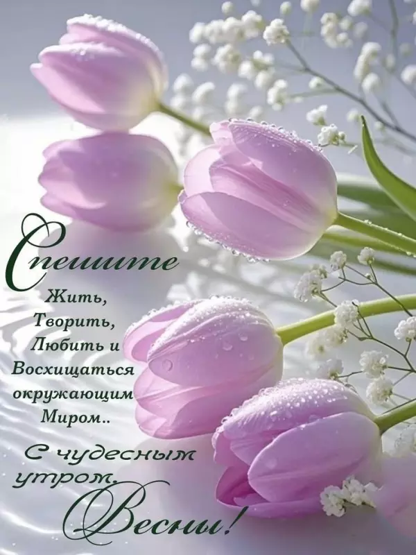 Кафе "У пани Сони"