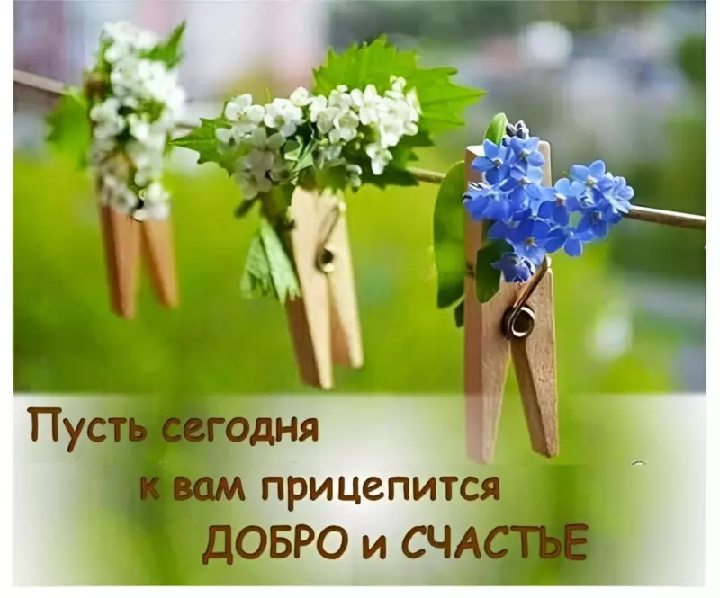 Кафе "У пани Сони"