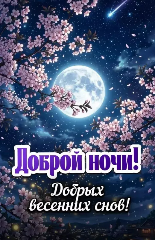 Кафе "У пани Сони"