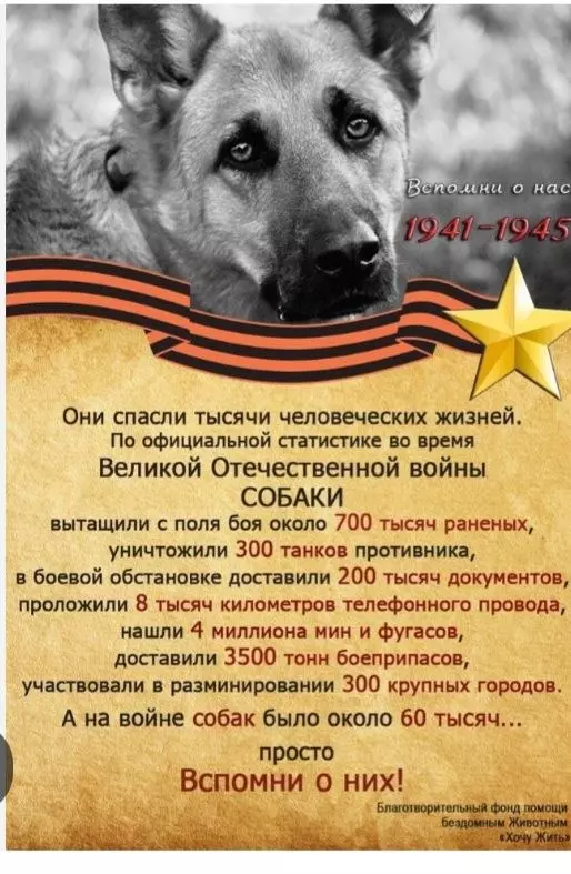 Кафе "У пани Сони"