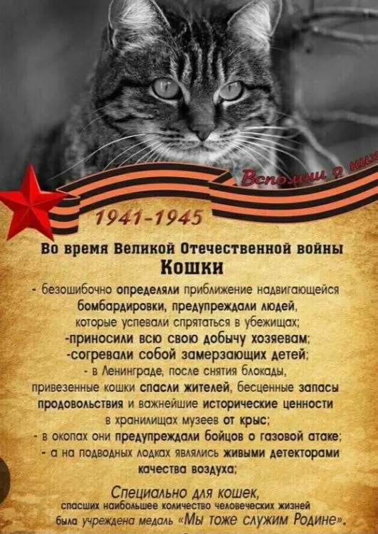 Кафе "У пани Сони"