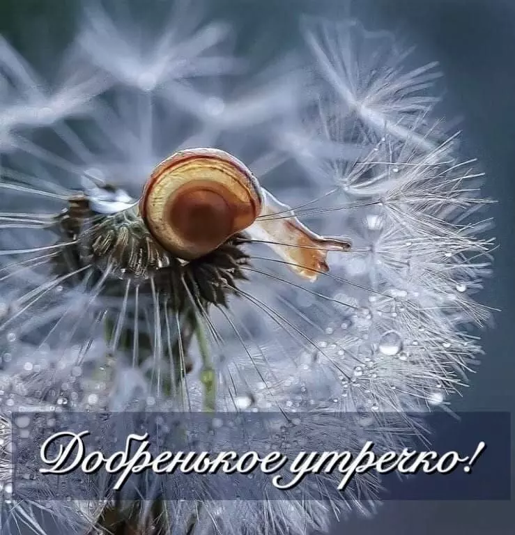 Кафе "У пани Сони"