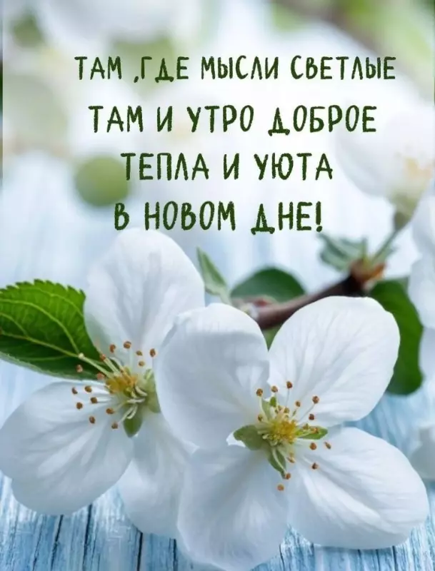 Кафе "У пани Сони"