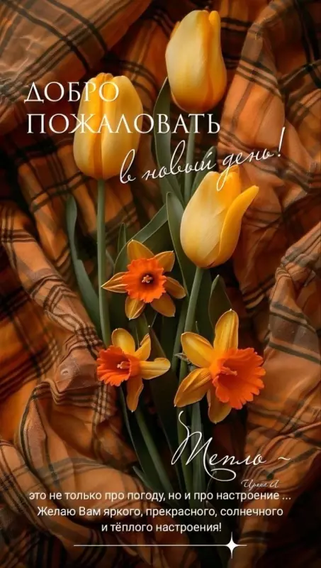 Кафе "У пани Сони"