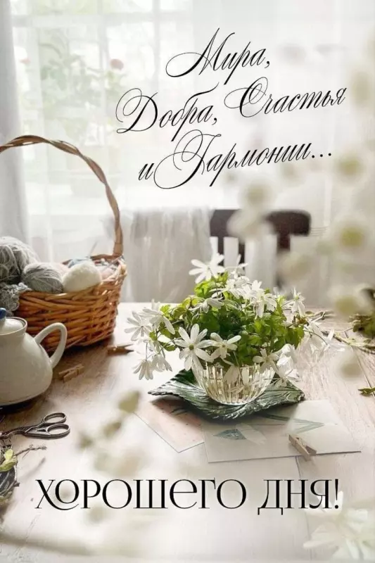 Кафе "У пани Сони"