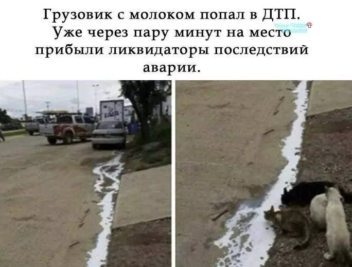 Кафе "У пани Сони"