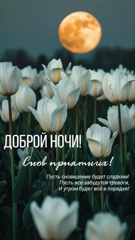 Кафе "У пани Сони"