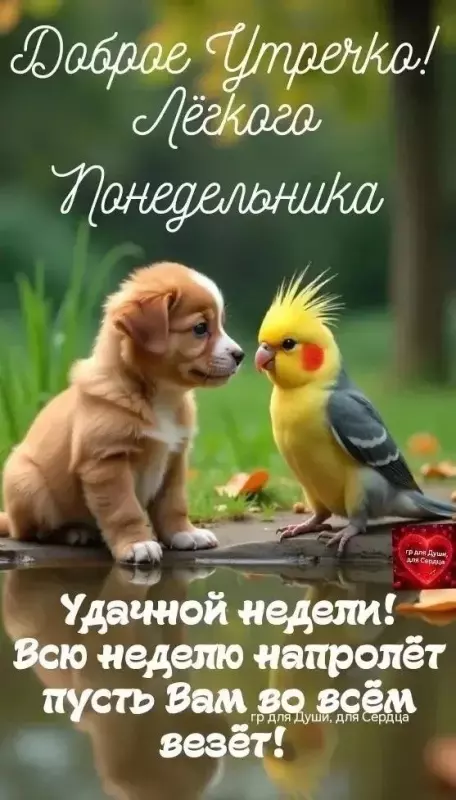 Кафе "У пани Сони"